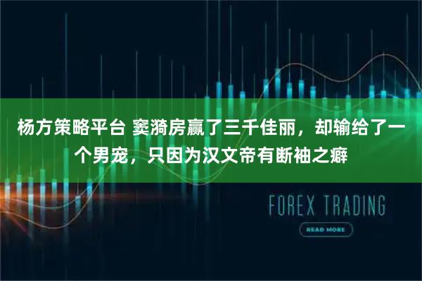 杨方策略平台 窦漪房赢了三千佳丽，却输给了一个男宠，只因为汉文帝有断袖之癖